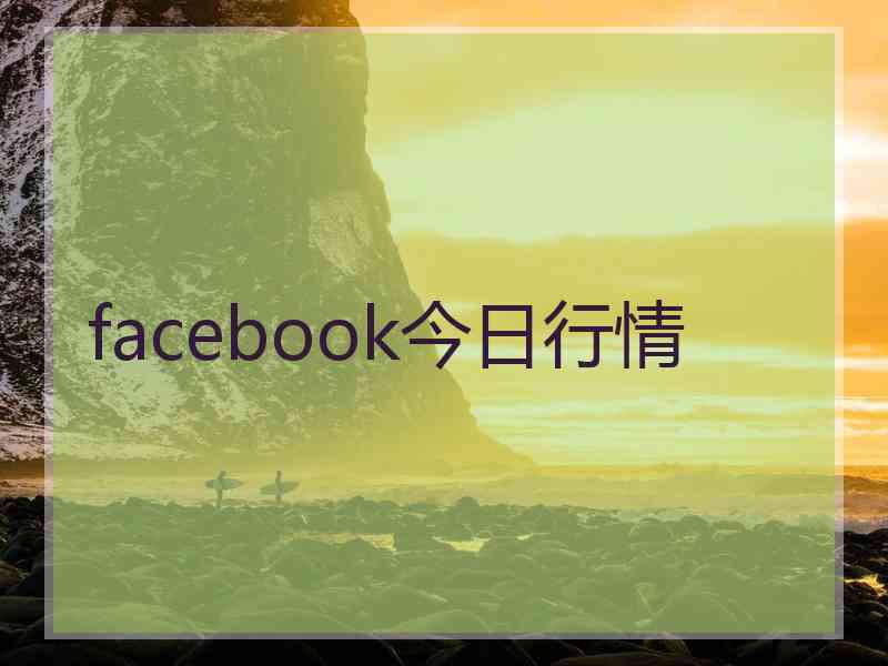 facebook今日行情