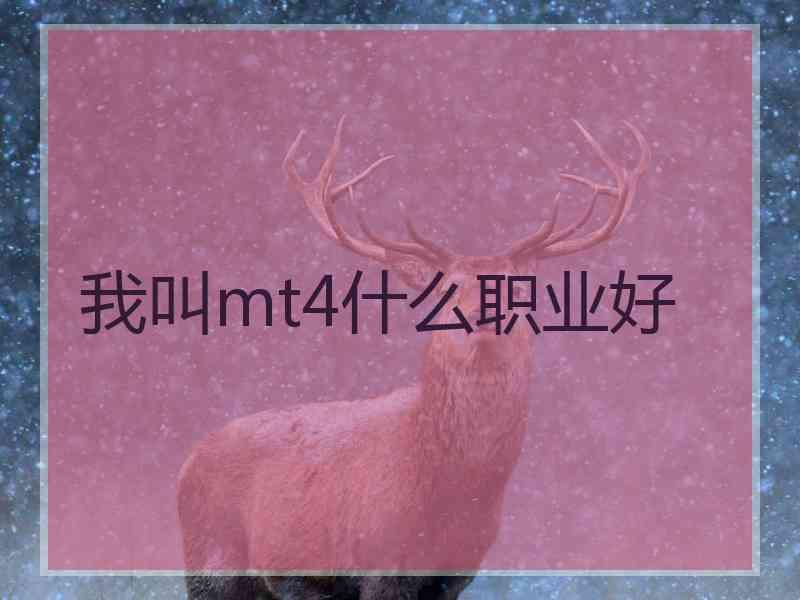 我叫mt4什么职业好