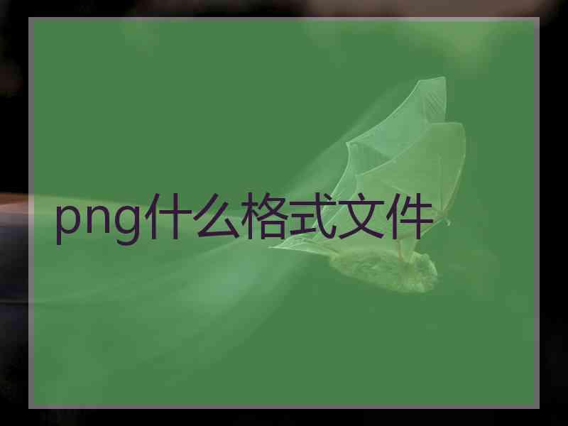 png什么格式文件