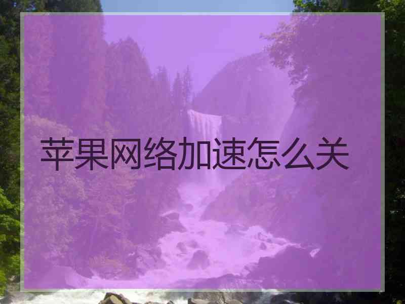 苹果网络加速怎么关