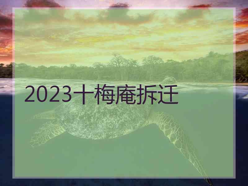 2023十梅庵拆迁