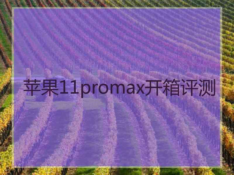 苹果11promax开箱评测