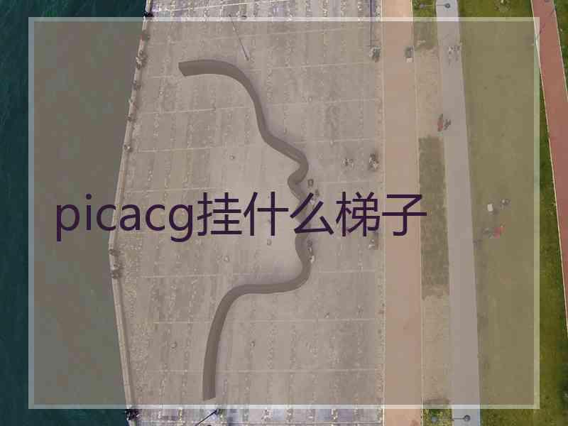 picacg挂什么梯子