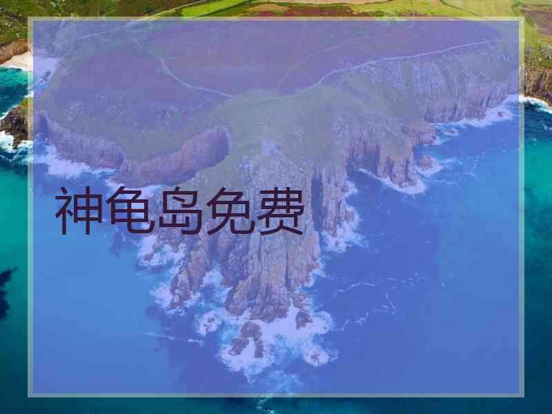 神龟岛免费