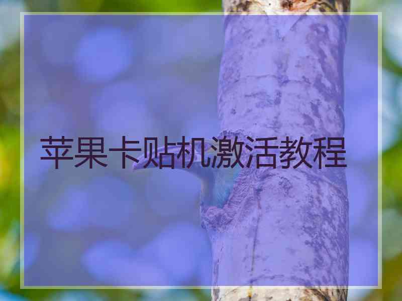 苹果卡贴机激活教程