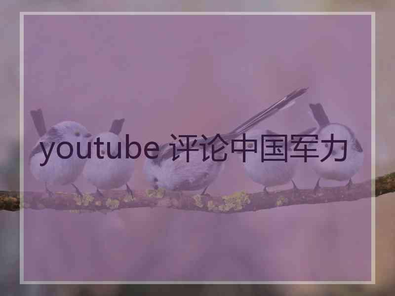 youtube 评论中国军力