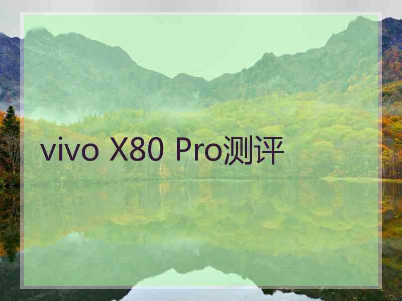 vivo X80 Pro测评