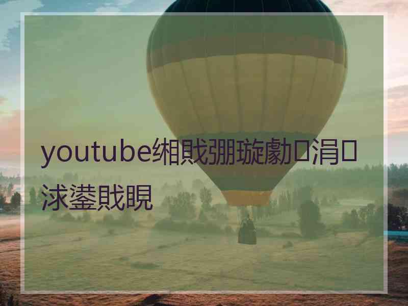 youtube缃戝弸璇勮涓浗鍙戝睍