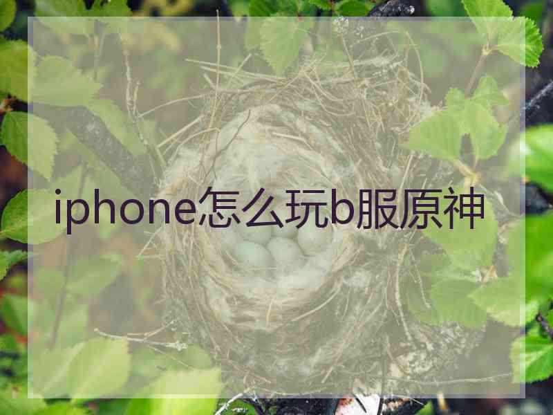 iphone怎么玩b服原神