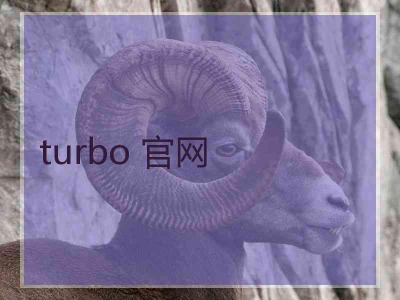 turbo 官网