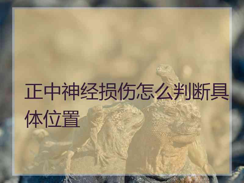 正中神经损伤怎么判断具体位置