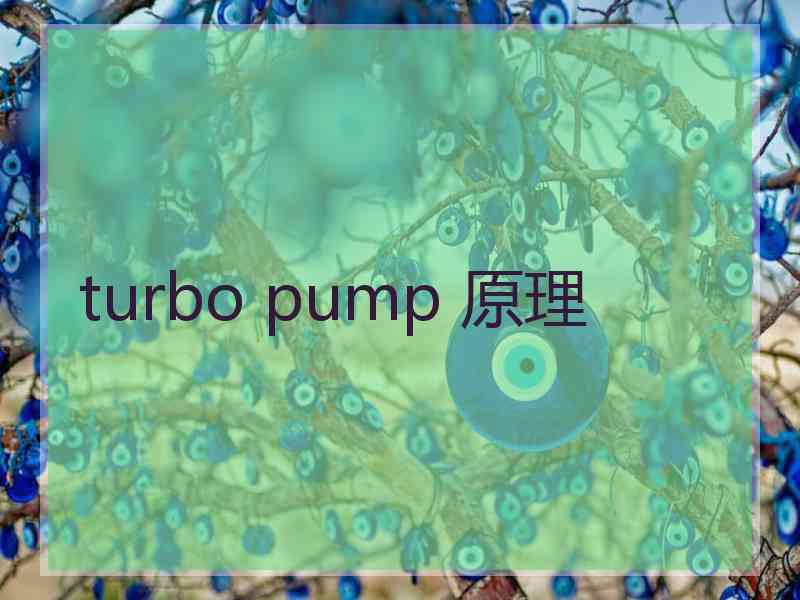 turbo pump 原理