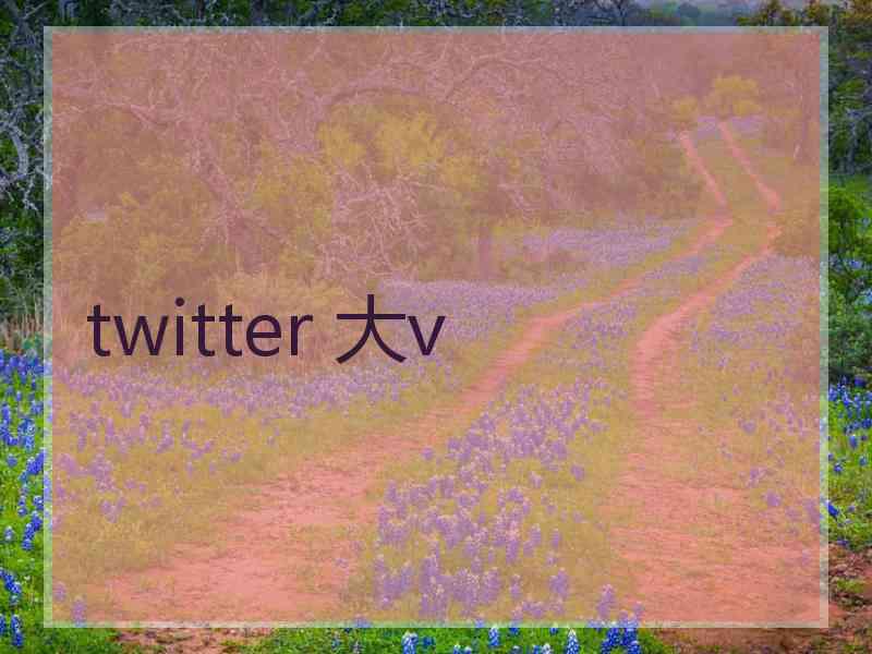 twitter 大v