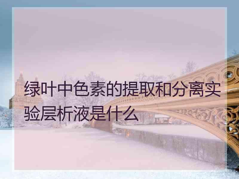 绿叶中色素的提取和分离实验层析液是什么