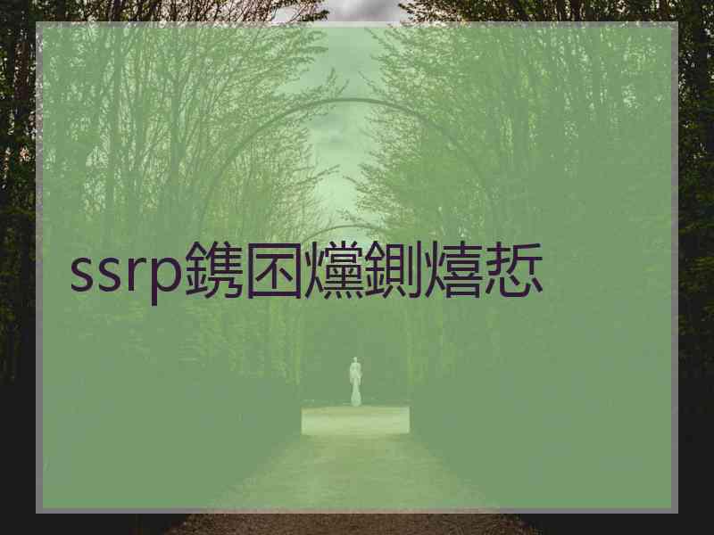 ssrp鎸囨爣鍘熺悊