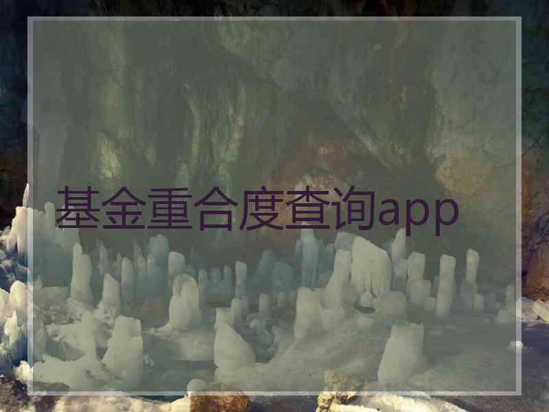 基金重合度查询app