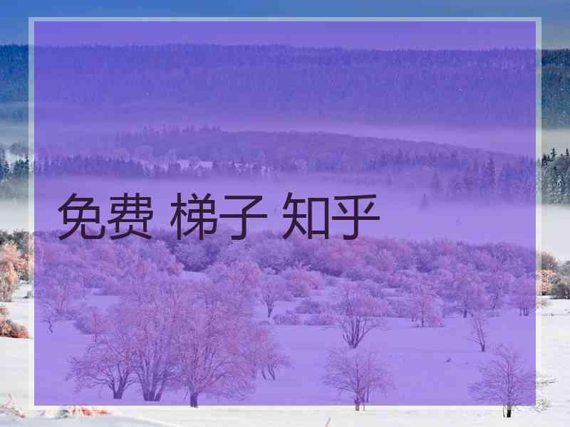 免费 梯子 知乎