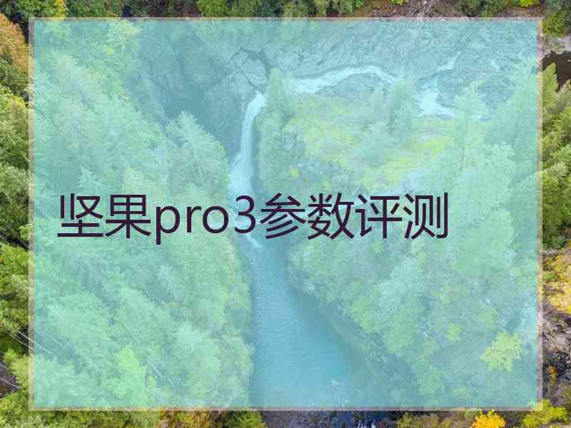 坚果pro3参数评测