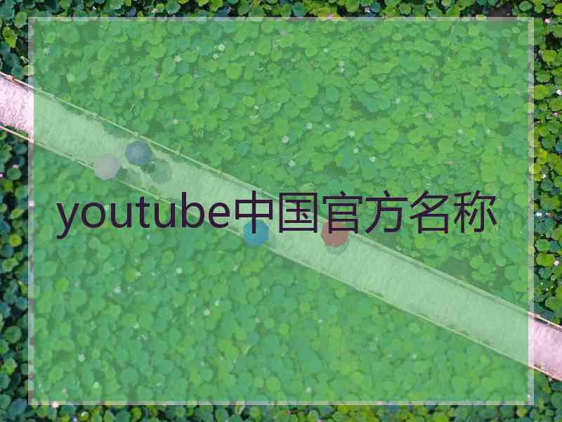 youtube中国官方名称