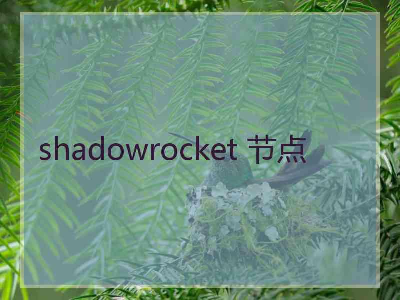 shadowrocket 节点