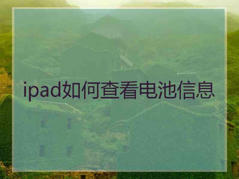 ipad如何查看电池信息