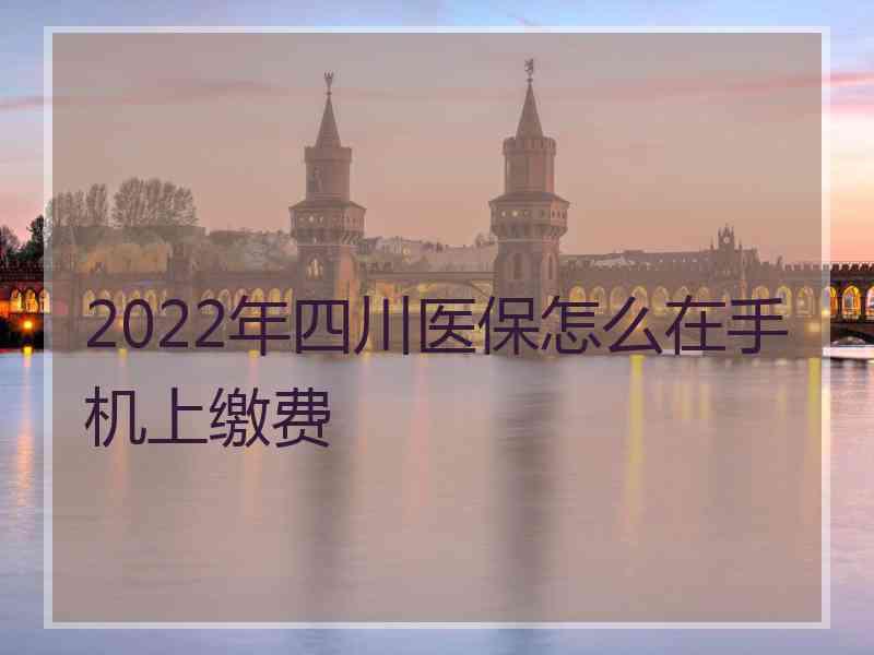 2022年四川医保怎么在手机上缴费