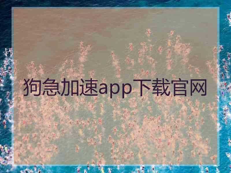 狗急加速app下载官网