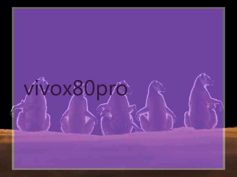 vivox80pro