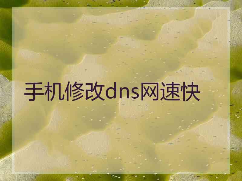 手机修改dns网速快