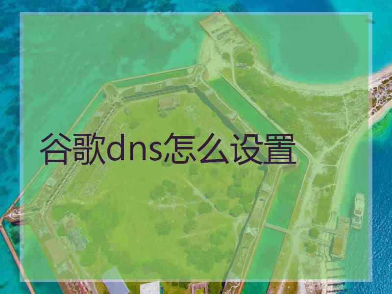 谷歌dns怎么设置