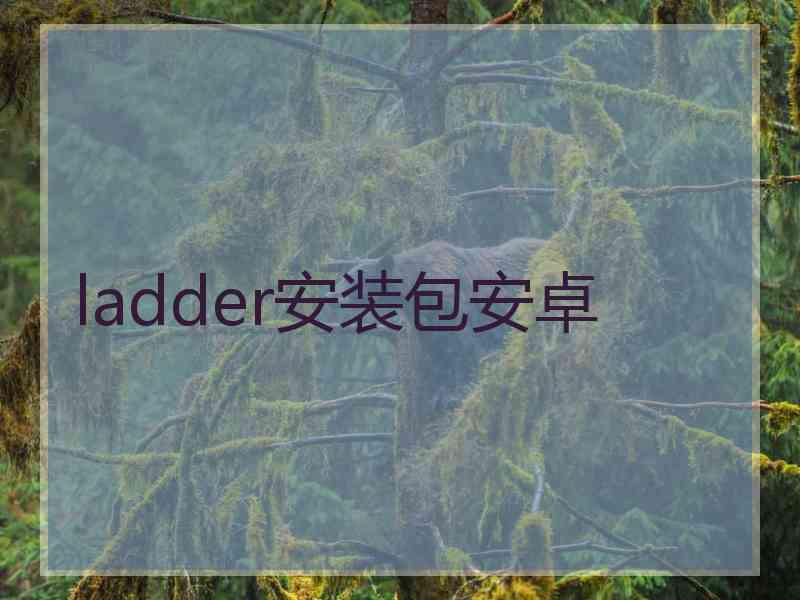 ladder安装包安卓