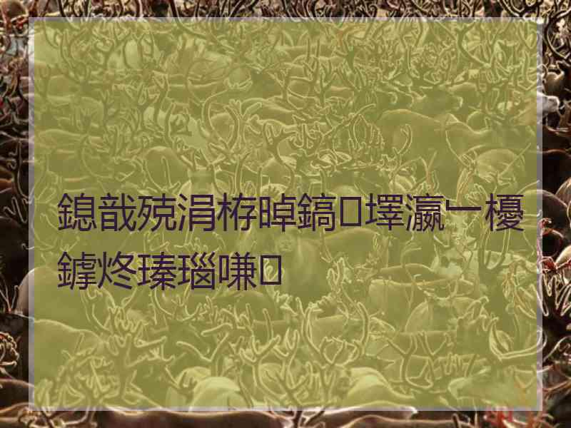 鎴戠殑涓栫晫鎬墿瀛﹂櫌鎼炵瑧瑙嗛