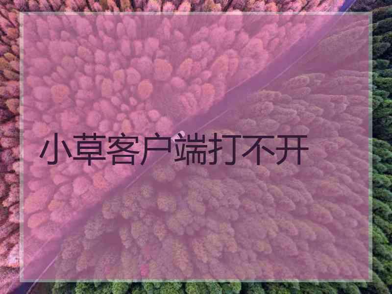 小草客户端打不开