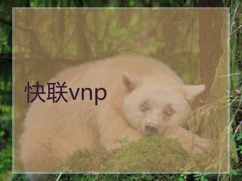 快联vnp