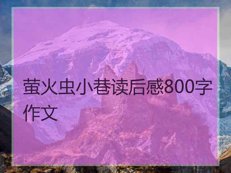 萤火虫小巷读后感800字作文