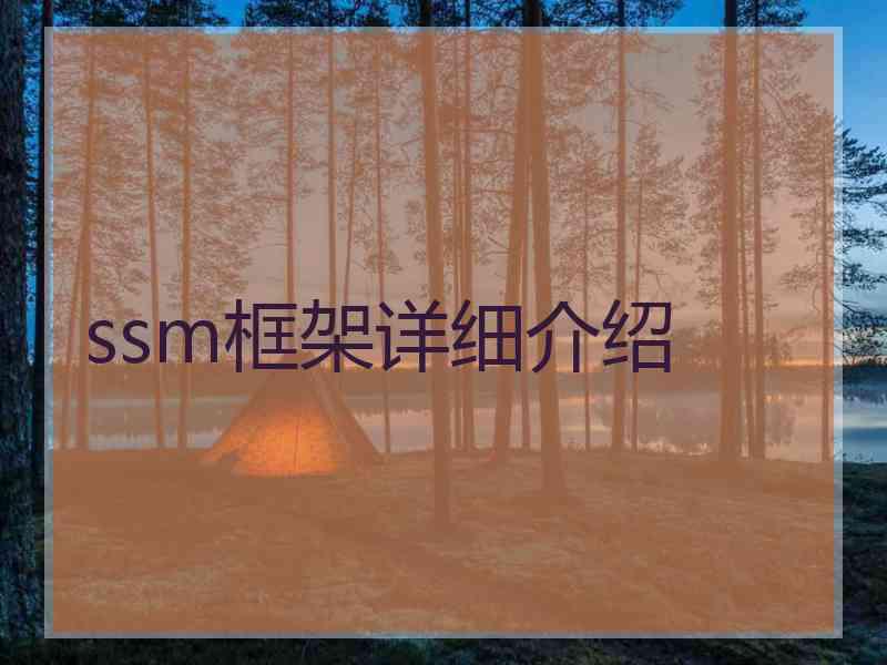 ssm框架详细介绍