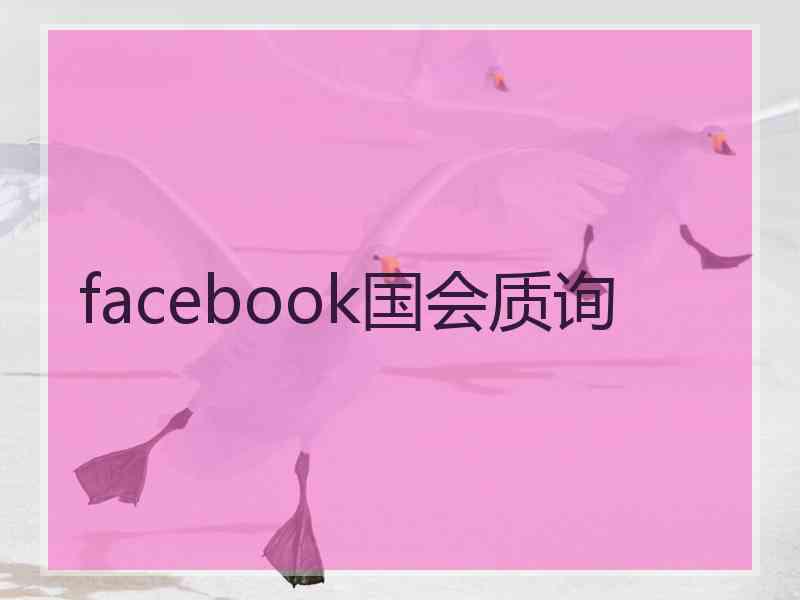 facebook国会质询