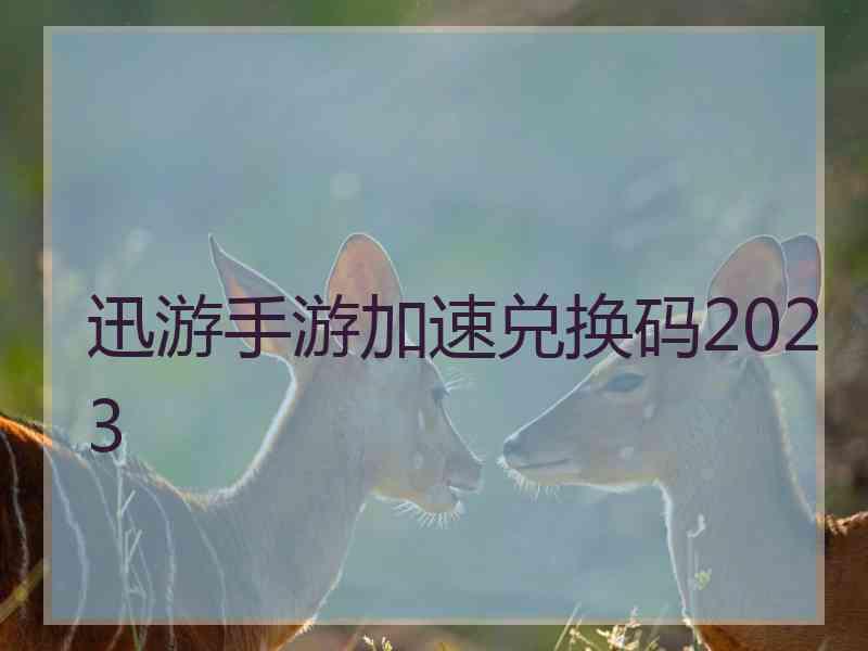 迅游手游加速兑换码2023