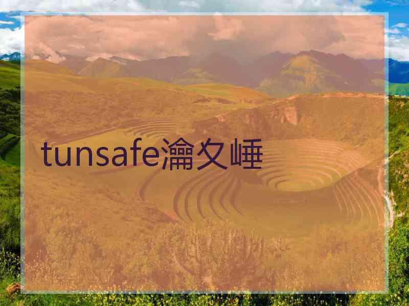 tunsafe瀹夊崜