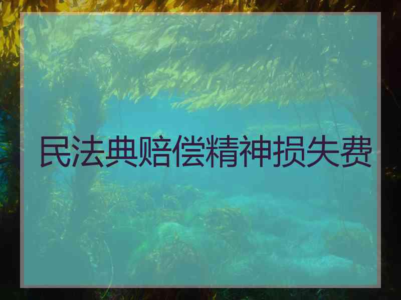 民法典赔偿精神损失费