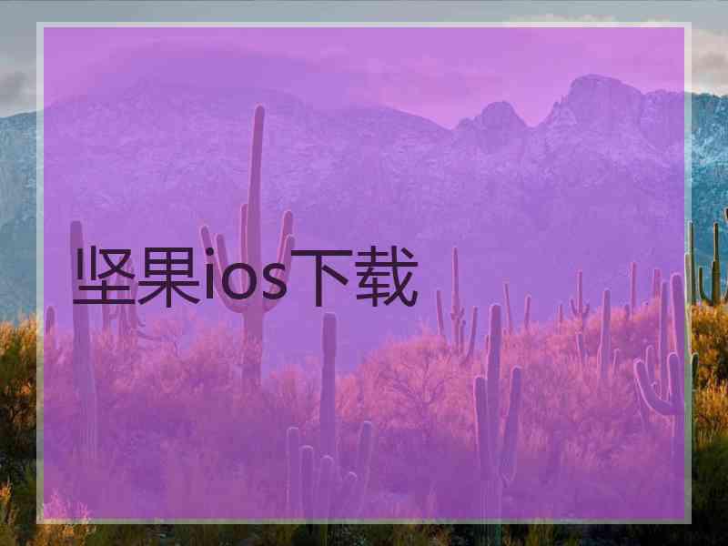 坚果ios下载