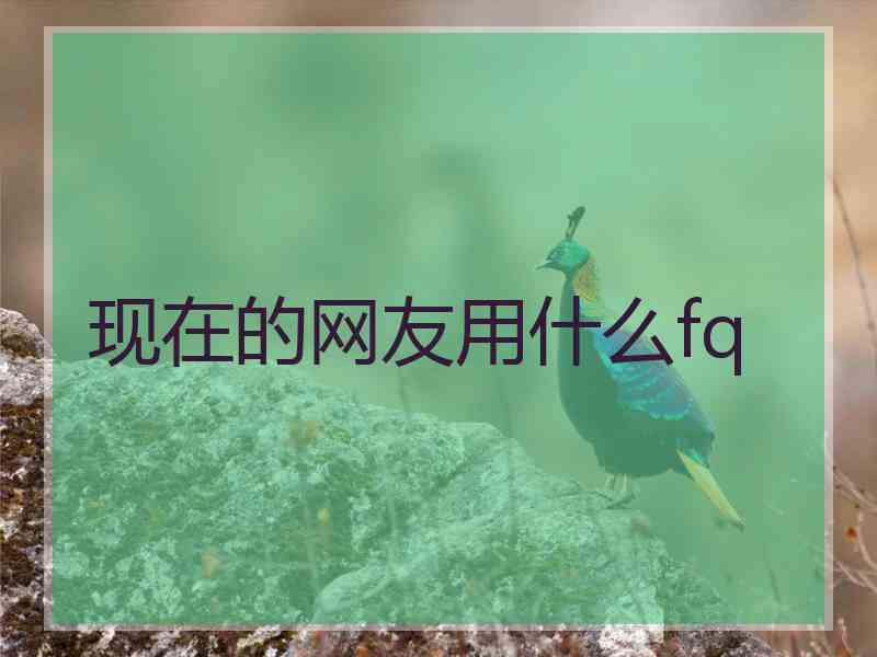 现在的网友用什么fq