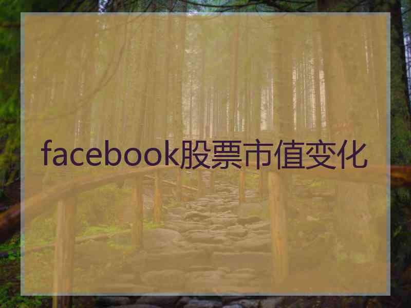 facebook股票市值变化