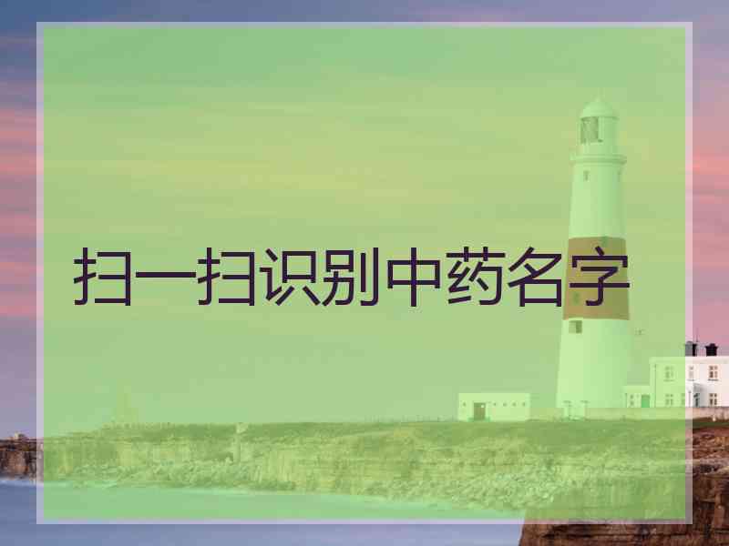 扫一扫识别中药名字