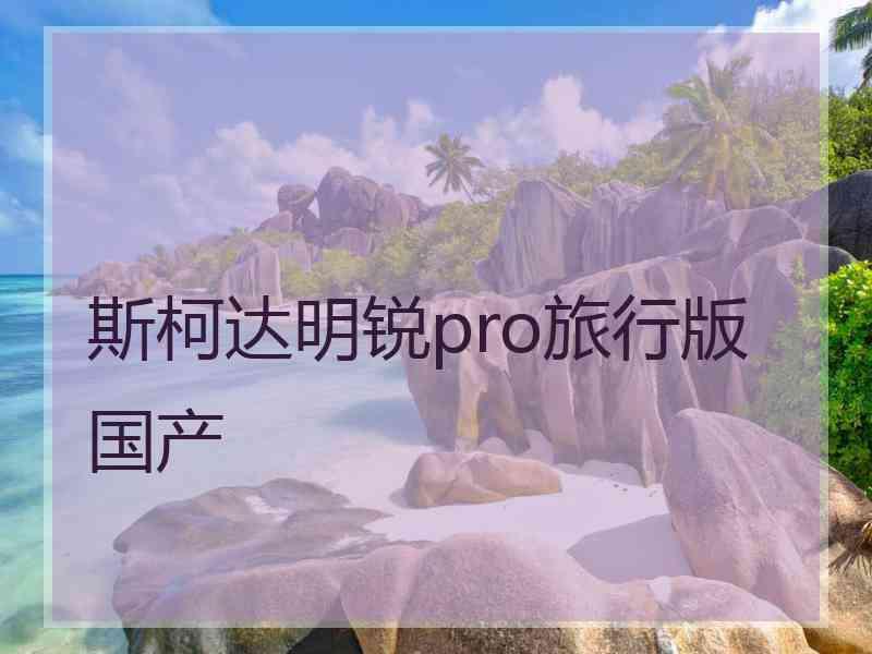 斯柯达明锐pro旅行版国产