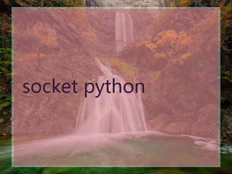 socket python