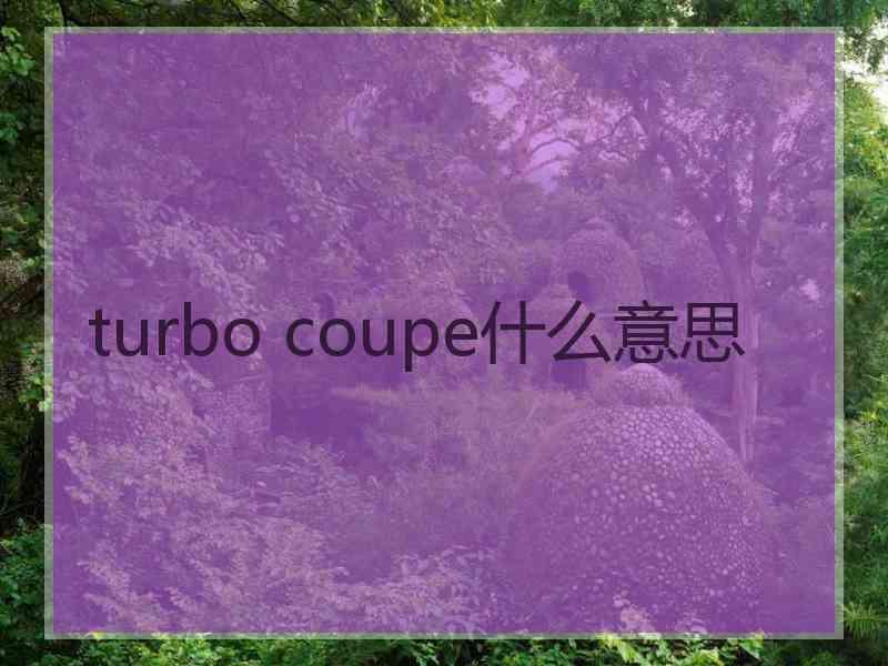 turbo coupe什么意思