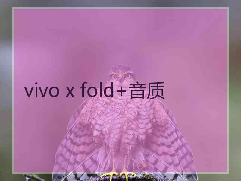 vivo x fold+音质