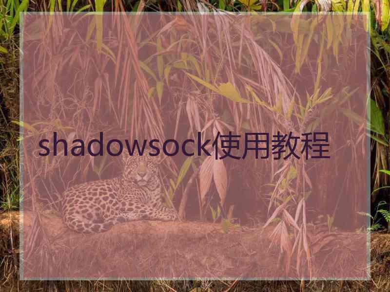 shadowsock使用教程