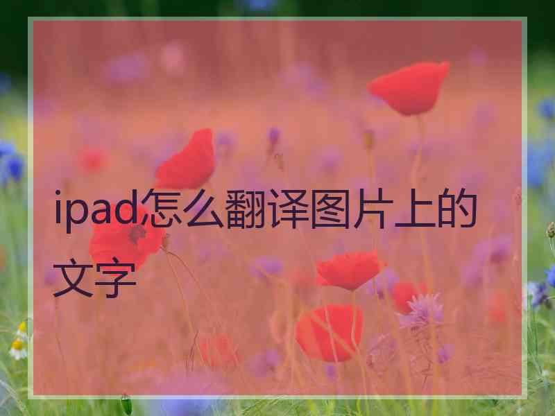 ipad怎么翻译图片上的文字